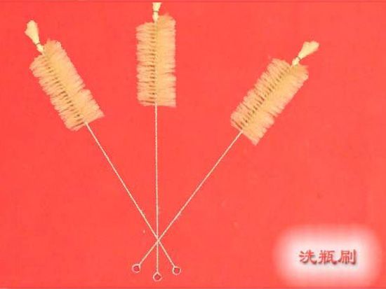 點擊查看詳細信息<br>標題：洗瓶刷 閱讀次數：2318